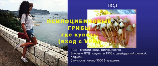 ПСИЛОЦИБИНОВЫЕ ГРИБЫ Беломорск