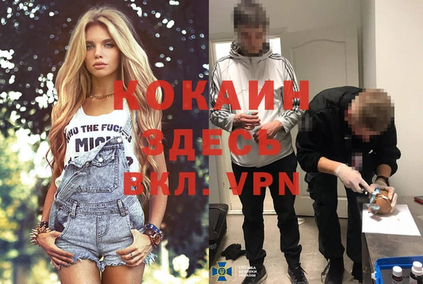 ПСИЛОЦИБИНОВЫЕ ГРИБЫ Беломорск