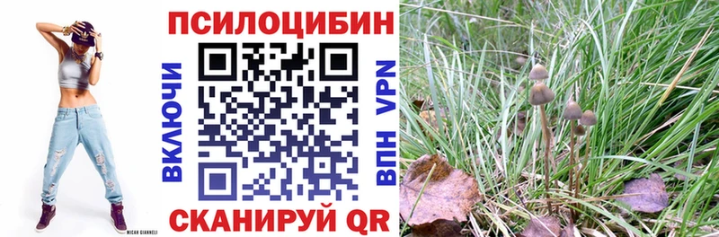 Галлюциногенные грибы Psilocybe  даркнет сайт  Верхний Уфалей 
