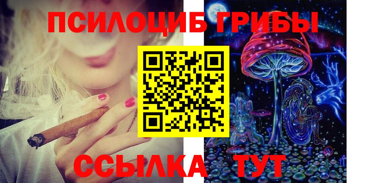 Галлюциногенные грибы Psilocybe Верхний Уфалей