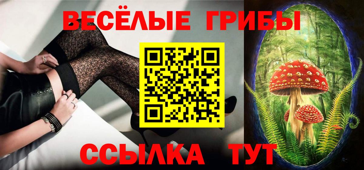 Верхний Уфалей  Псилоцибиновые грибы GOLDEN TEACHER  Вход с VPN 
